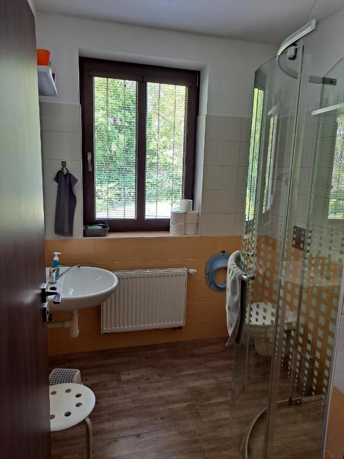 Penzion Na Pohoři Olešnice Exteriér fotografie